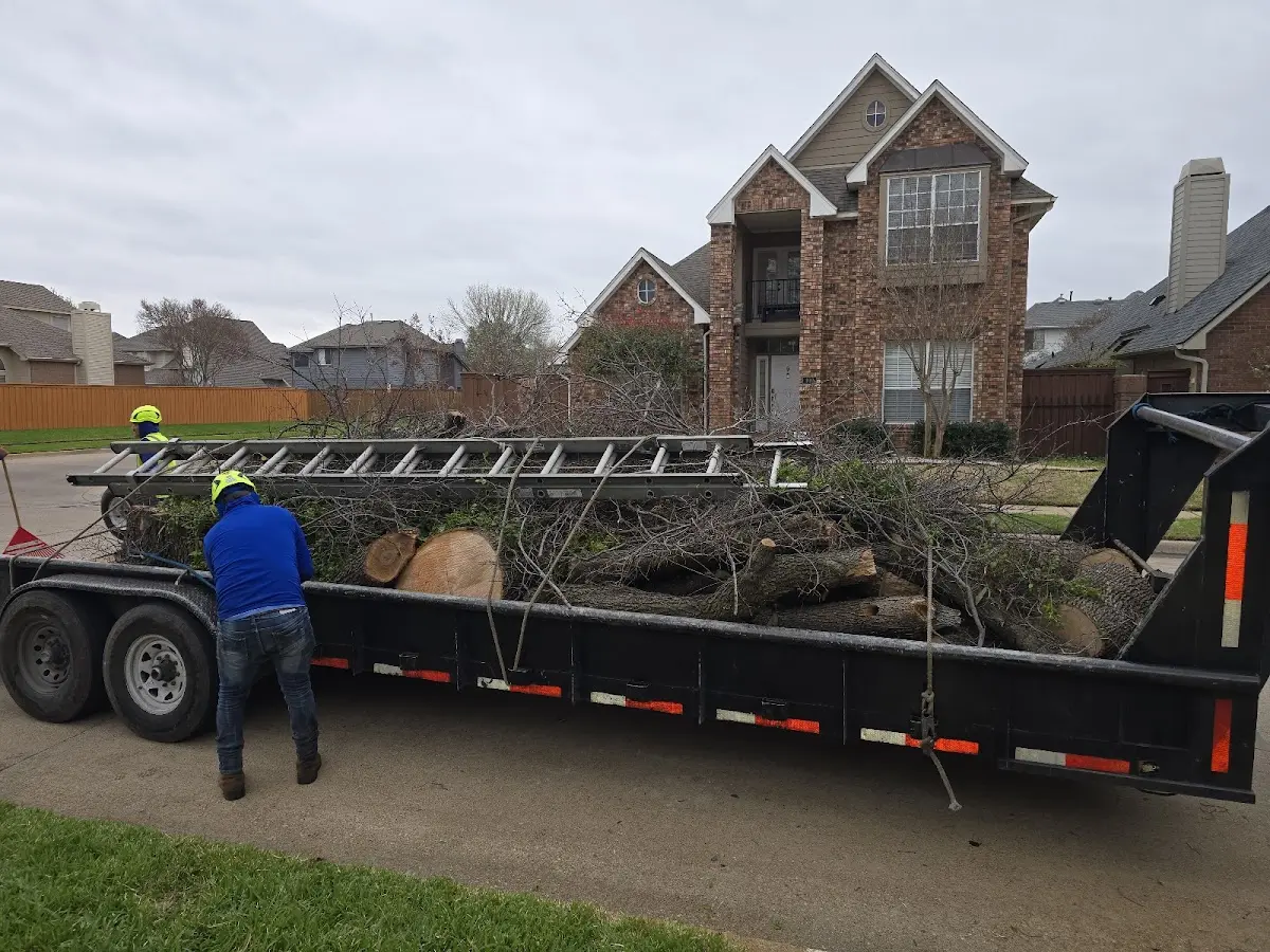 Expert Tree Fertilization with proper safety equipment in Seligman